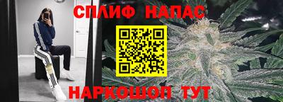 бошки Жуковский