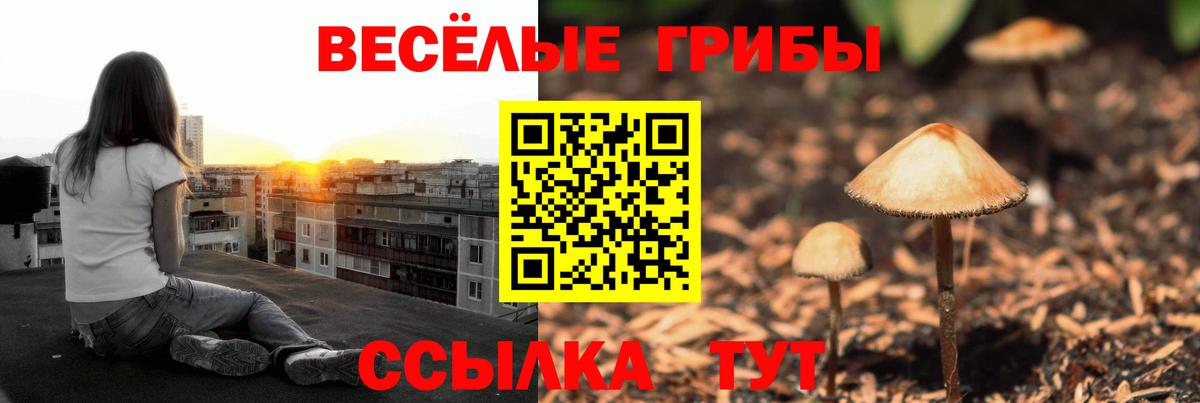 Псилоцибиновые грибы мицелий  Вход с VPN  Урус-Мартан 